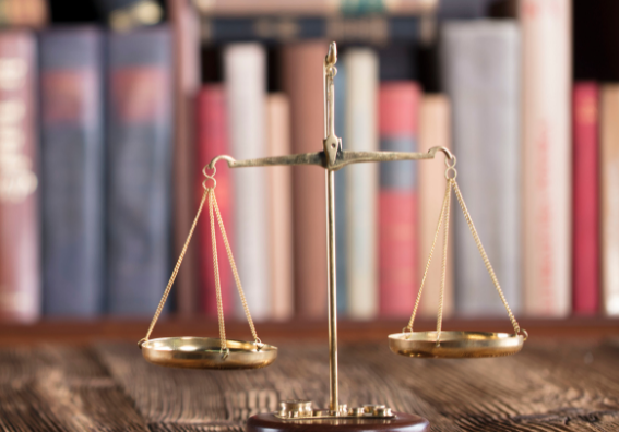 legal experience